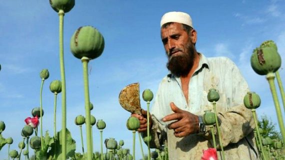 Sixty percent of Taliban funding said derived from illegal opium trade Sixty percent of Taliban funding said derived from illegal opium trade