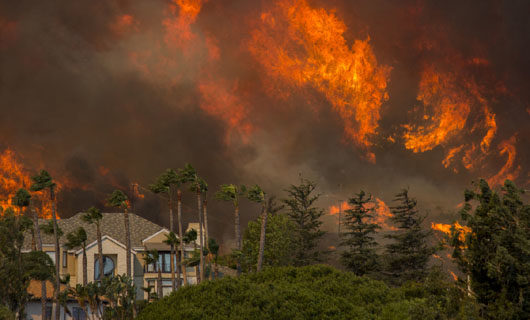 Inconvenient data points on those California wildfires