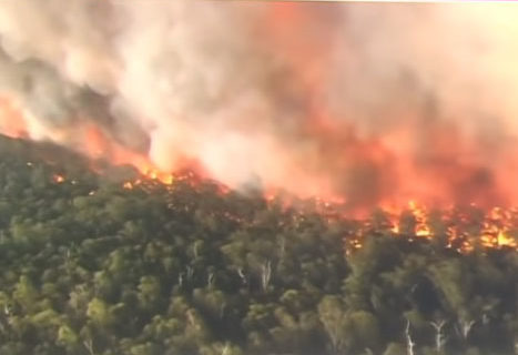 Reports: Many Australia bushfires were deliberately set Reports: Many Australia bushfires were deliberately set