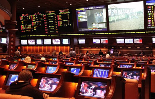 Gamblers raise stakes on creativity during sports shutdown