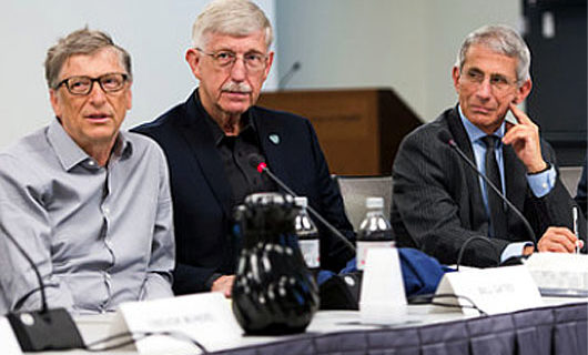 Are Bill Gates and Anthony Fauci running the country? Vaccine axis called threat Are Bill Gates and Anthony Fauci running the country? Vaccine axis called threat