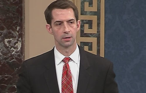 Attorney: Corporate media owe Sen. Tom Cotton an apology Attorney: Corporate media owe Sen. Tom Cotton an apology