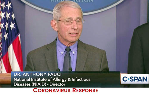 Columnist on nation’s error-prone ‘expert’: Step aside, Dr. Fauci Columnist on nation’s error-prone ‘expert’: Step aside, Dr. Fauci