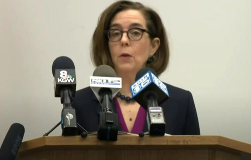 Another Democrat governor’s lockdown order ruled ‘null and void’