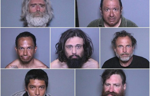 California releases ‘high risk’ sex offenders over coronavirus fears California releases ‘high risk’ sex offenders over coronavirus fears