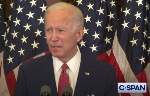 Joe Biden: Ban chokeholds, shoot them in the leg Joe Biden: Ban chokeholds, shoot them in the leg