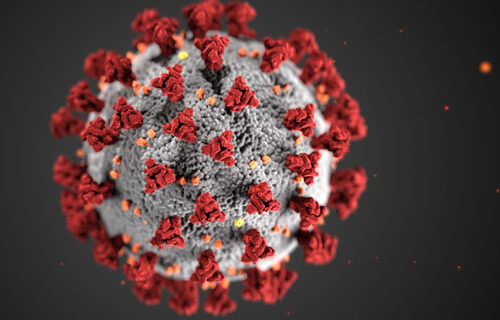 Scientists: Covid herd immunity could happen at 50 percent or lower Scientists: Covid herd immunity could happen at 50 percent or lower