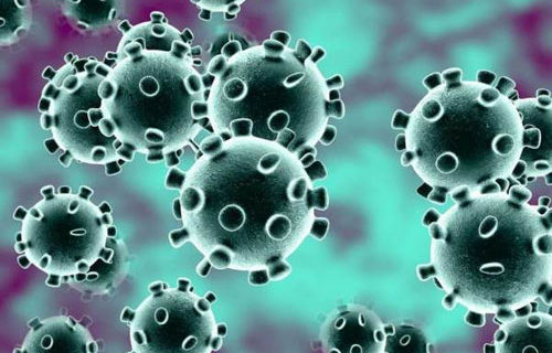 Columnist on daily headlines about coronavirus test results: ‘So what?’ Columnist on daily headlines about coronavirus test results: ‘So what?’