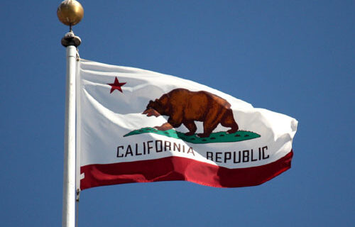Convicted murderers among 128 illegals arrested by ICE after sanctuary California set them free Convicted murderers among 128 illegals arrested by ICE after sanctuary California set them free