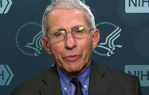 Fauci to Americans: ‘Bite the bullet’ and cancel Thanksgiving Fauci to Americans: ‘Bite the bullet’ and cancel Thanksgiving