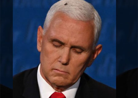 Pence ‘dismantled Harris’: Fly saves the day for Democrats and their media Pence ‘dismantled Harris’: Fly saves the day for Democrats and their media