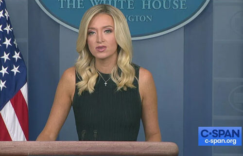 McEnany: 234 pages of sworn affidavits alleging fraud in just one Michigan county