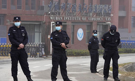 Records show initial intent of EcoHealth/Wuhan Institute research was to create coronavirus ‘mutants’