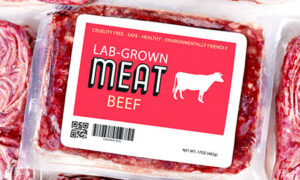 Study: ‘Refinement methods’ for lab-grown meat produces 25 times more CO2