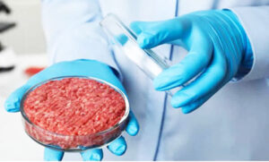 Bloody awful: What fake meat tycoons don’t want the public to know