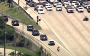 Trump supporters remain peaceful; Media ‘desperate for violence’