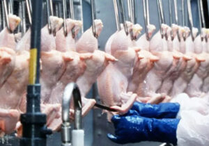 Reports: FDA sets striking different food standards for the U.S. compared to Europe