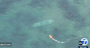 Welcome home? Boat loaded with illegal aliens lands near Barbra Streisand’s Malibu compound