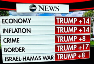 Series of polls bewilder ‘the media’: Who is real threat to U.S. democracy?