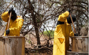 DEA: Two most dangerous Mexican drug cartels operating in all 50 states