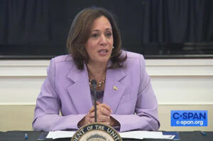 ‘Wag the Dog’ on steroids: Ben Carson on the instant Kamala Harris transformation