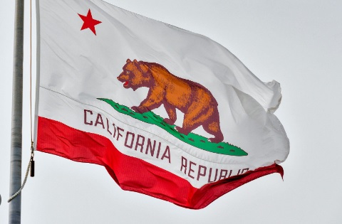 Ballot screenshot: Kamala, RFK appear but not Trump; California responds: ‘It’s random’