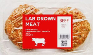 Florida judge rejects Bill Gates-backed company’s plea, upholds state’s ban on lab-grown meat