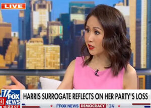 $1 billion ‘disaster’: Democrats suddenly wondering who was calling the shots