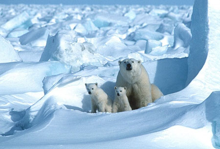 This just in: Data show Arctic ice 26% larger than in 2012
