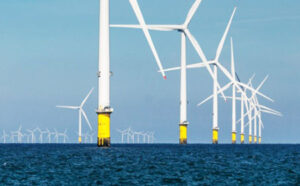 Trump saves the whales: Pauses all offshore windmill projects