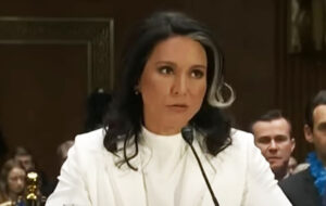 Security stalwarts balk at Tulsi: Is she DJT’s wrecking ball against a hostile intel establishment?