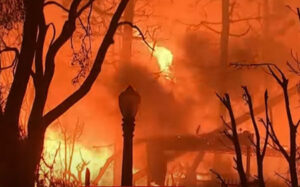 Are illegal migrant gangs starting L.A. fires in order to loot homes?