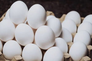 Thieves steal 100,000 eggs, worth 40 grand, from Pennsylvania producer