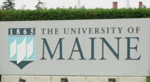 Trump pauses funding to Maine universities after state defies ban on men in women’s sports