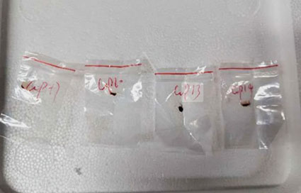 Chinese national in pathogen plot worked at U.S. taxpayer funded lab Chinese national in pathogen plot worked at U.S. taxpayer funded lab