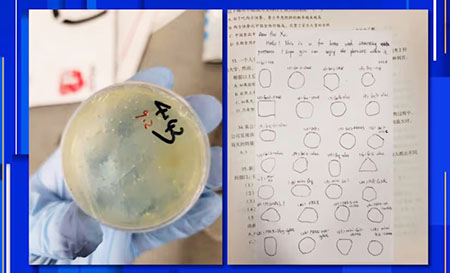 Yet another Wuhan scientist charged with smuggling biological substances into U.S. Yet another Wuhan scientist charged with smuggling biological substances into U.S.