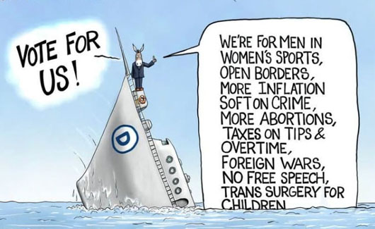 ActBlue (a message from the very deep pockets of their donor base)