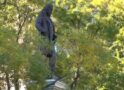 Statue of Gen. Albert Pike, toppled by Antifa-BLM rioters, returns to Judiciary Square Statue of Gen. Albert Pike, toppled by Antifa-BLM rioters, returns to Judiciary Square