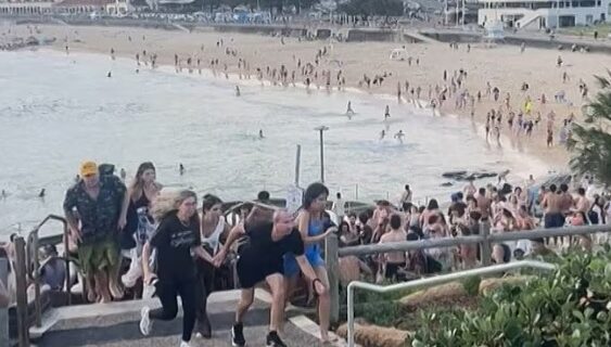 ‘Suicidal empathy’ blamed: Bondi Beach terror attack seen as another result of liberal mass migration