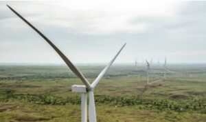 Company fined after wind turbines kill bald eagles