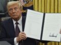 Author: Birthright citizenship — a magnet for illegal immigration — heralds a return to feudalism