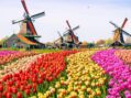 Euro turbulence: ‘New political universe in UK; Tax surge punishes hard work in the Netherlands