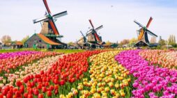 Euro turbulence: ‘New political universe in UK; Tax surge punishes hard work in the Netherlands
