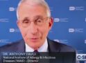 CIA whistleblower: Here is how Fauci manipulated U.S. intelligence on Covid origins