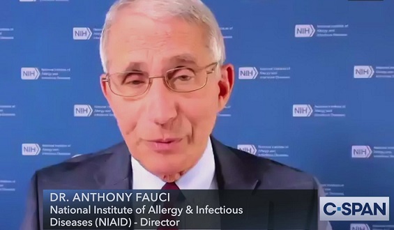 Will Covd accountability ever come for Fauci? Statute of limitations running out
