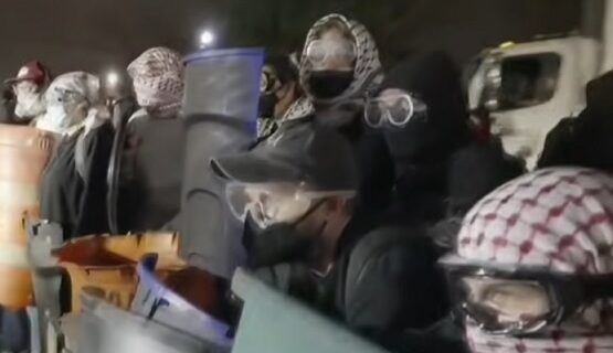 Homan: Same anti-ICE agitators turned up in NJ, Minnesota, Portland