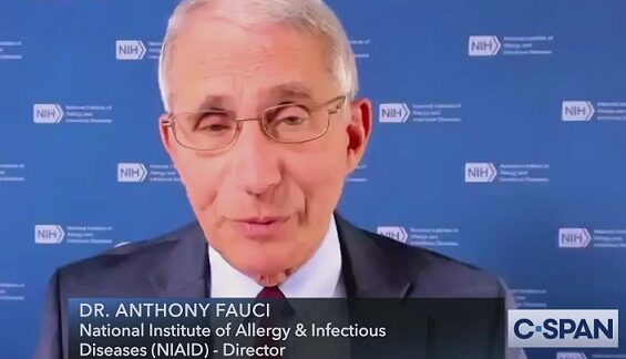 DNI Tulsi Gabbard’s last day: Fauci funded ‘gain-of-function research at the Wuhan lab’