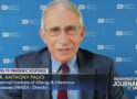 Fauci could face criminal charges after Wednesday hearing