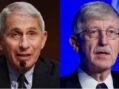 ‘Will come back to bite you’: FDA official warned Fauci, Collins to research vaccine side effects