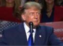 Trump: ‘China’ is the ‘only one happy’ about anti-AI conspiracy narratives